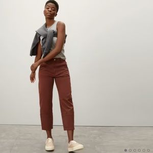 Everlane Utility Barrel Pant in Rosewood